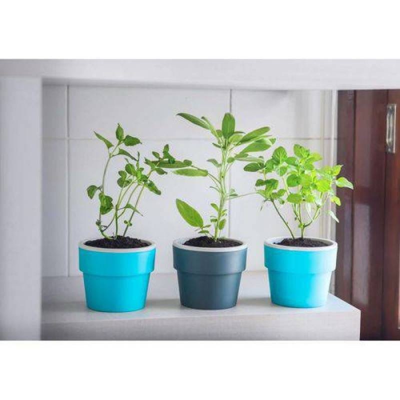 Vaso Autoirrigável Grande Bege Linha Plantar - 3