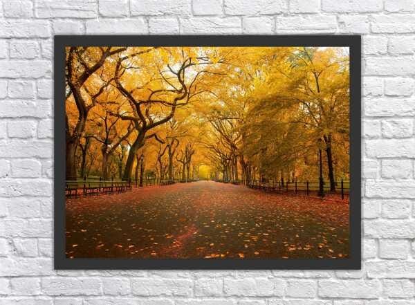 Quadro Decorativo Natureza Rvore Estrada Paisagens Moldura