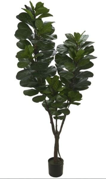 Planta Artificial A Ficus Lyrata Real Toque X M Madeiramadeira