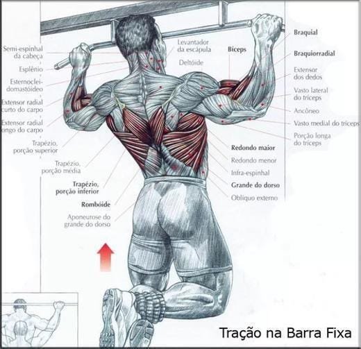 Barra Flex O Exerc Cios Treino Regul Vel A Cm F Madeiramadeira