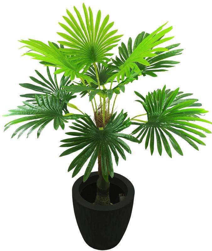 PLANTA ARTIFICIAL ÁRVORE PALMEIRA LEQUE VERDE 135CM REAL MadeiraMadeira