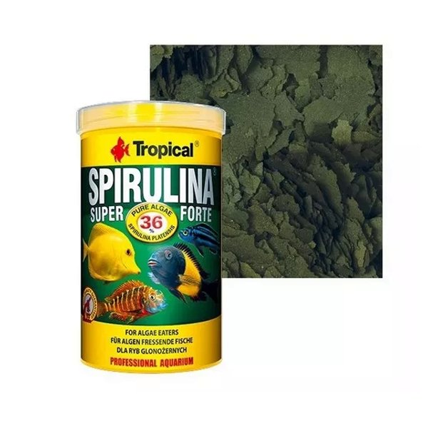 Ra O Tropical Spirulina Super Forte Flocos G Madeiramadeira