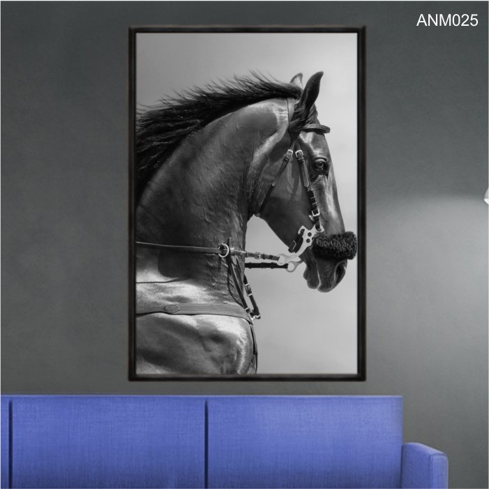 Quadro Decorativo Impressao U V Em Vidro Cavalo De Perfil Preto E