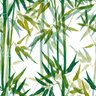Papel de Parede Decorativo Temático Bambus Tons Verdes 2,5m - 1