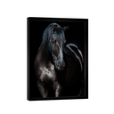 Ver imagem 1 de Quadro Strong Horse -- BR ARTES