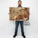 Ver imagem 2 de Quadro Decorativo Caixa Leão Tacolado Moldura Caixa 3cm Madeira com Vidro 60 X 90cm