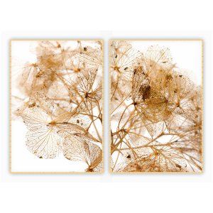 kit com 2 Quadros Decorativos Dente de Leão com Moldura e Vidro para Sala Quarto Escritório e Clínic
