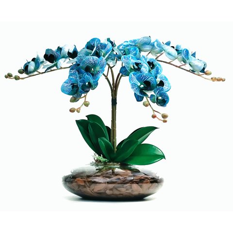 Arranjos de Mesa Vaso Grande Flores 4 Orquídeas Azul Flor