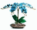 Ver imagem 1 de Arranjos de Mesa Vaso Grande Flores 4 Orquídeas Azul Flor