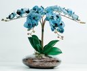 Ver imagem 3 de Arranjos de Mesa Vaso Grande Flores 4 Orquídeas Azul Flor