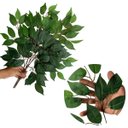 Ver imagem 4 de Conjunto 8 Hastes Folhagem Artificial Fícus Decoração Sala Escritório Jardim Vertical