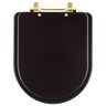 Assento Sanitário Carrara Marrom Fosco para vaso Deca Com Ferragem Dourada - 1