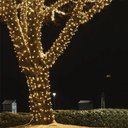 Ver imagem 6 de Kit 5 Cordão 1000 Leds Fixo Prova D'Água 90m Branco Quente Bivolt