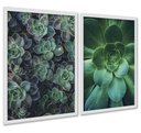 Ver imagem 1 de Kit 2 Quadros Decorativos Suculentas 24x18cm:moldura Branca