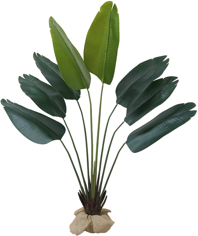 Planta Palmeira Ravenala 180cm Folhagem Verde Grande Real