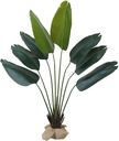 Ver imagem 1 de Planta Palmeira Ravenala 180cm Folhagem Verde Grande Real