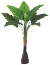 Ver imagem 1 de Planta Artificial Arvore Alocasia Real Toque X9 Verde 1,05m