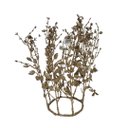 Ver imagem 7 de Adorno Natalino Coroa de Folhagens Glitter Champanhe e Pingente Cristais 30cm - Bela Flor