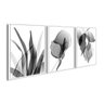 Conjunto De Quadro Decorativo Trio Folhagem Preto e Branco:Branca - 1