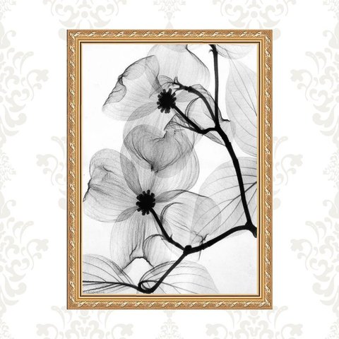 Quadro Moldura Dourada Flores Transparentes 45x34cm:com Acetato