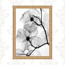 Ver imagem 1 de Quadro Moldura Dourada Flores Transparentes 45x34cm:com Acetato