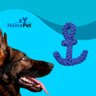 Brinquedo Corda Marinheiro Azul Homepet Home Pet - 2