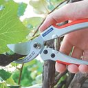 Ver imagem 6 de Tesoura Poda Tramontina Profissional Jardinagem