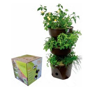 Horta Vertical Auto Irrigável Verde Vida - Não Acompanha Rodízio Cor Marrom