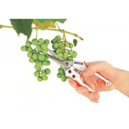 Tesoura de Poda Profissional Lamina Japonesa Tramontina 78316/520 - 2