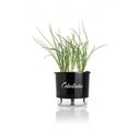 Ver imagem 2 de Vaso Auto Irrigável Gourmet N03 - Médio - Raiz Preto Cebolinha