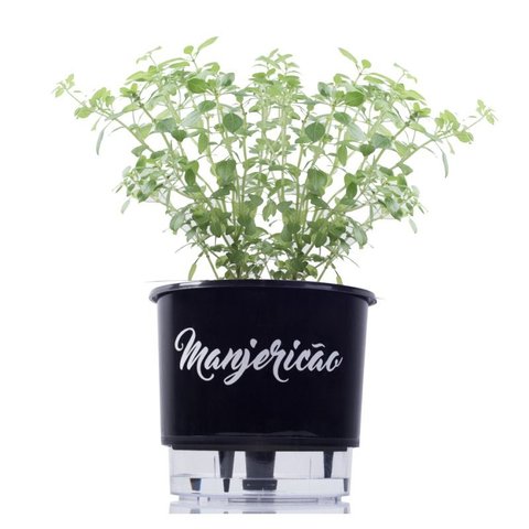 Vaso Auto Irrigável Gourmet N03 - Médio - Raiz Preto Manjericão