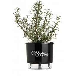 Vaso Auto Irrigável Gourmet N03 - Médio - Raiz Preto Alecrim - 1