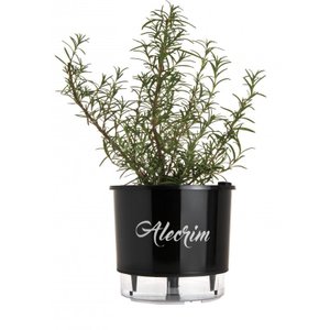 Vaso Auto Irrigável Gourmet N03 - Médio - Raiz Preto Alecrim