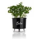 Ver imagem 1 de Vaso Auto Irrigável Gourmet N03 - Médio - Raiz Preto Salsa
