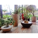 Ver imagem 3 de Vaso Infinity Concha 13 Areia