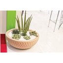Ver imagem 4 de Vaso Infinity Concha 13 Areia