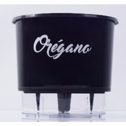 Vaso Auto Irrigável Gourmet N03 - Médio - Raiz Preto Orégano - 1