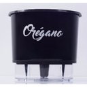 Ver imagem 1 de Vaso Auto Irrigável Gourmet N03 - Médio - Raiz Preto Orégano