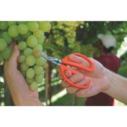 Tesoura para Frutas Profissional, lâminas em aço inox 78311051 Tramontina 154 mm - 2