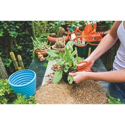 Tesoura para Frutas Profissional, lâminas em aço inox 78311051 Tramontina 154 mm - 3