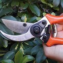 Ver imagem 6 de Tesoura De Poda Metálica Profissional Tramontina