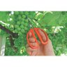 Tesoura para Poda, Raleio e Colheita de Frutas 78310101 Tramontina 187 mm - 2