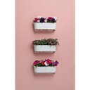 Ver imagem 4 de Jardineira Autoirrigável Raíz - 40cm Branco
