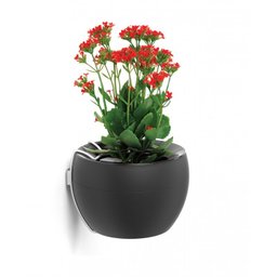 Suporte de Parede Cinza Vaso Botanika Médio - 2