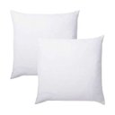 Ver imagem 1 de Kit 2 Refis Enchimento para Almofada em Fibra Siliconada 50x50 Cm