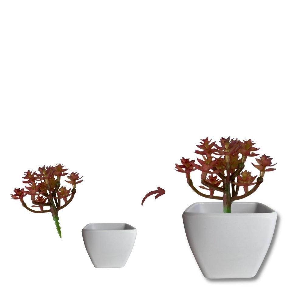 Mini Vaso Decorativo Suculenta Cachepot Plástico sem Planta - 4