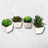 Mini Vaso Decorativo Suculenta Cachepot Plástico sem Planta - 11
