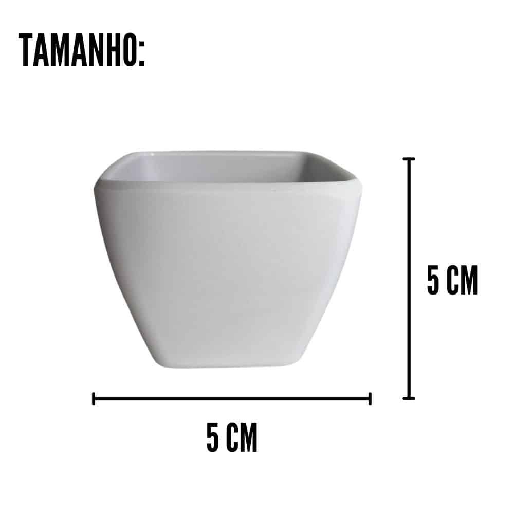 Mini Vaso Decorativo Suculenta Cachepot Plástico sem Planta - 8