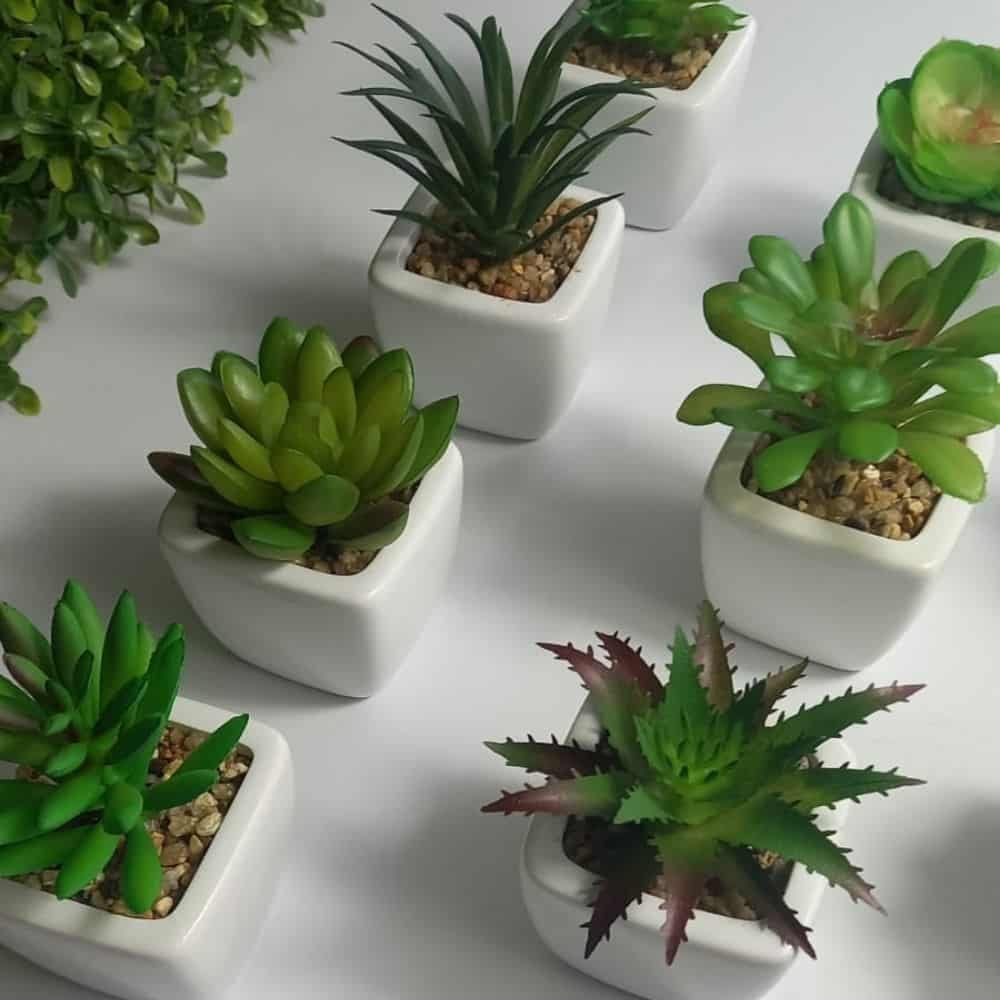 Mini Vaso Decorativo Suculenta Cachepot Plástico sem Planta - 2