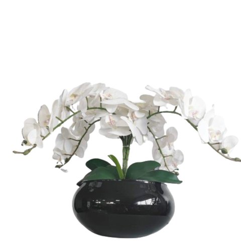 Arranjo de Mesa 4 Flores Orquídeas Real Vaso Terrário